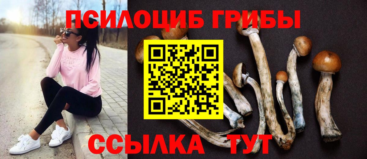 Галлюциногенные грибы Magic Shrooms Чусовой