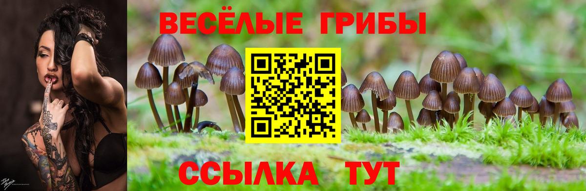 Псилоцибиновые грибы Cubensis  Псилоцибиновые грибы Psilocybe  Вход с VPN  Чусовой 